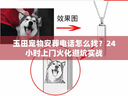 玉田宠物安葬电话怎么找？24小时上门火化避坑实战