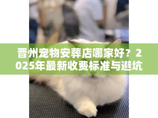 晋州宠物安葬店哪家好？2025年最新收费标准与避坑实录