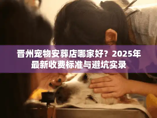 晋州宠物安葬店哪家好？2025年最新收费标准与避坑实录