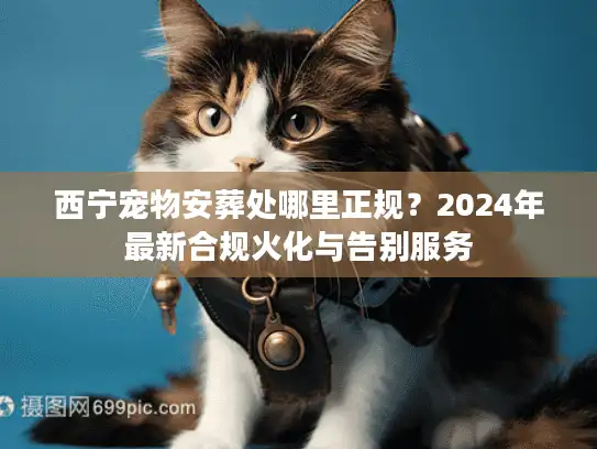 西宁宠物安葬处哪里正规？2024年最新合规火化与告别服务