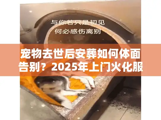 宠物去世后安葬如何体面告别？2025年上门火化服务避坑