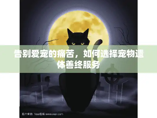 告别爱宠的痛苦，如何选择宠物遗体善终服务