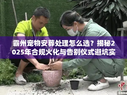 霸州宠物安葬处理怎么选？揭秘2025年合规火化与告别仪式避坑实策