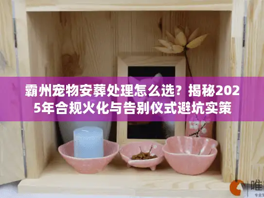 霸州宠物安葬处理怎么选？揭秘2025年合规火化与告别仪式避坑实策