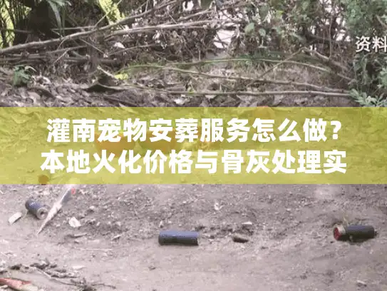 灌南宠物安葬服务怎么做？本地火化价格与骨灰处理实录