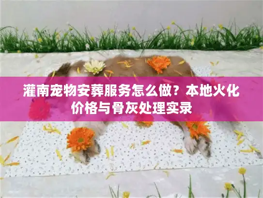 灌南宠物安葬服务怎么做？本地火化价格与骨灰处理实录