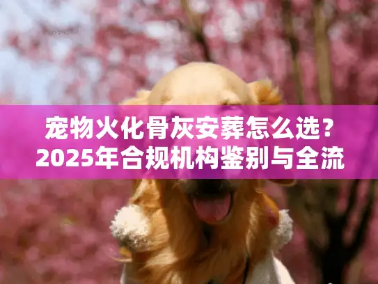 宠物火化骨灰安葬怎么选？2025年合规机构鉴别与全流程实操复盘