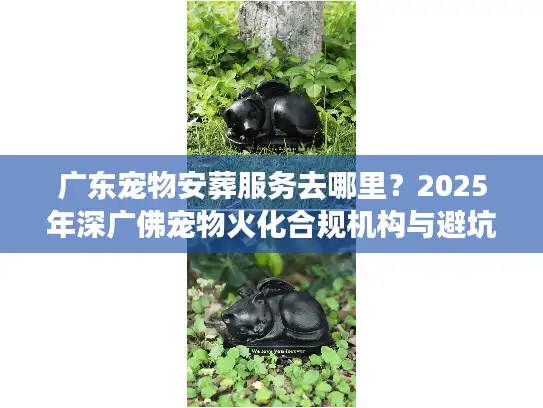 广东宠物安葬服务去哪里？2025年深广佛宠物火化合规机构与避坑