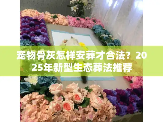 宠物骨灰怎样安葬才合法？2025年新型生态葬法推荐