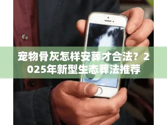 宠物骨灰怎样安葬才合法？2025年新型生态葬法推荐