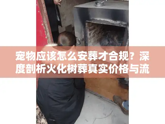 宠物应该怎么安葬才合规？深度剖析火化树葬真实价格与流程