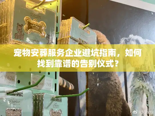 宠物安葬服务企业避坑指南，如何找到靠谱的告别仪式？