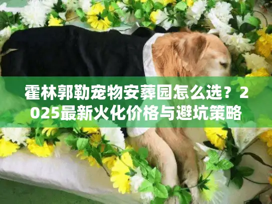 霍林郭勒宠物安葬园怎么选？2025最新火化价格与避坑策略