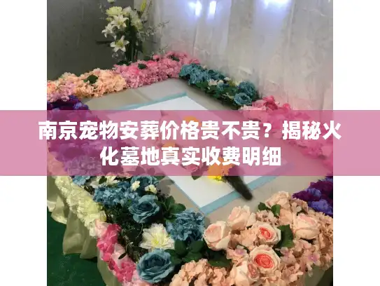 南京宠物安葬价格贵不贵？揭秘火化墓地真实收费明细