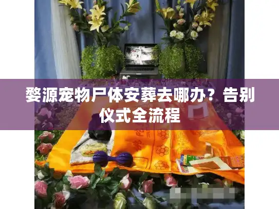 婺源宠物尸体安葬去哪办？告别仪式全流程