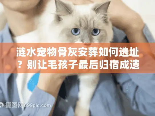涟水宠物骨灰安葬如何选址？别让毛孩子最后归宿成遗憾