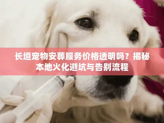 长垣宠物安葬服务价格透明吗？揭秘本地火化避坑与告别流程