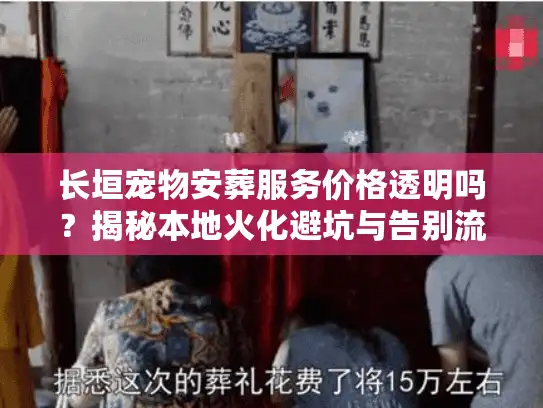 长垣宠物安葬服务价格透明吗？揭秘本地火化避坑与告别流程