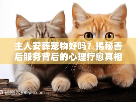 主人安葬宠物好吗？揭秘善后服务背后的心理疗愈真相