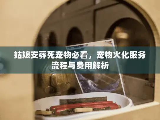 姑娘安葬死宠物必看，宠物火化服务流程与费用解析