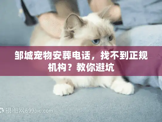 邹城宠物安葬电话，找不到正规机构？教你避坑
