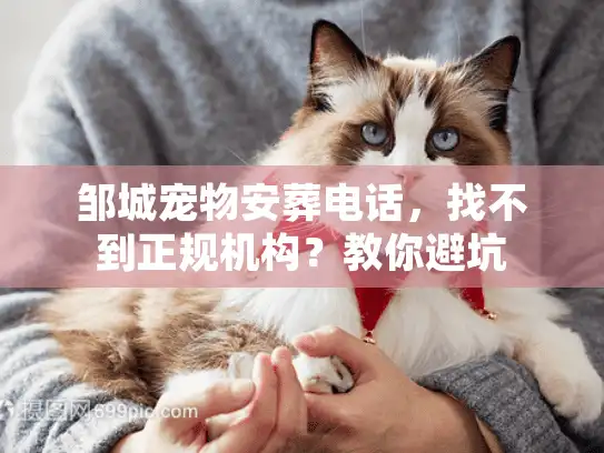 邹城宠物安葬电话，找不到正规机构？教你避坑