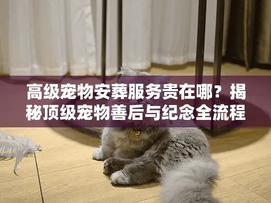 高级宠物安葬服务贵在哪？揭秘顶级宠物善后与纪念全流程