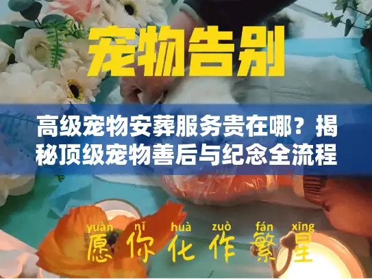 高级宠物安葬服务贵在哪？揭秘顶级宠物善后与纪念全流程