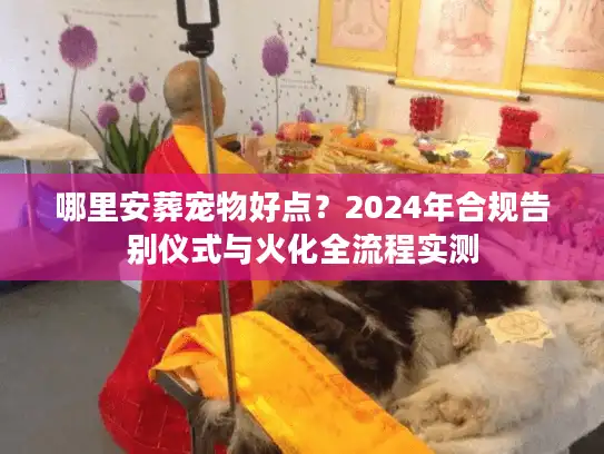 哪里安葬宠物好点？2024年合规告别仪式与火化全流程实测