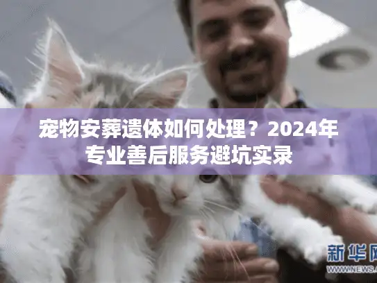 宠物安葬遗体如何处理？2024年专业善后服务避坑实录