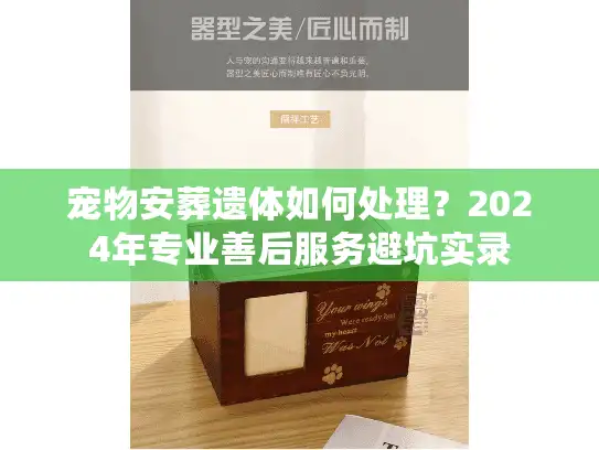 宠物安葬遗体如何处理？2024年专业善后服务避坑实录