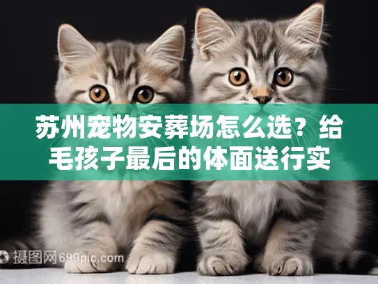 苏州宠物安葬场怎么选？给毛孩子最后的体面送行实操