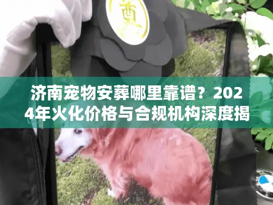 济南宠物安葬哪里靠谱？2024年火化价格与合规机构深度揭秘