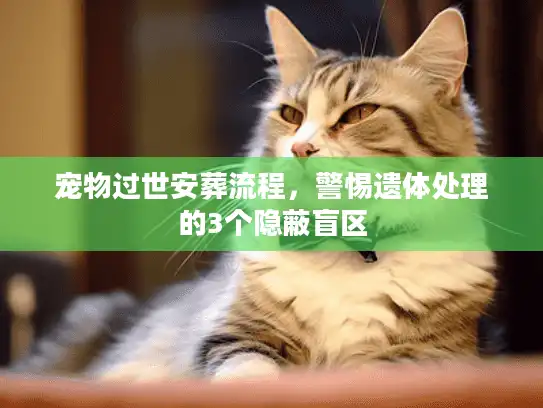 宠物过世安葬流程，警惕遗体处理的3个隐蔽盲区
