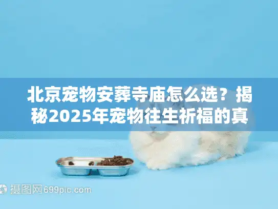 北京宠物安葬寺庙怎么选？揭秘2025年宠物往生祈福的真实去处