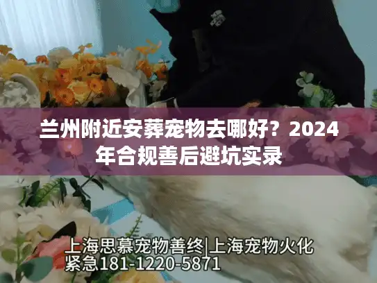 兰州附近安葬宠物去哪好？2024年合规善后避坑实录