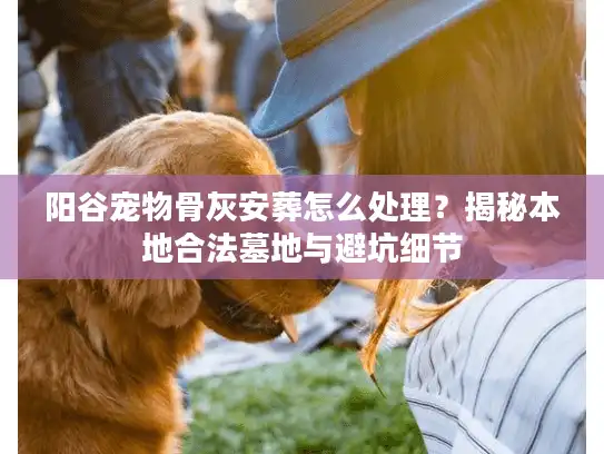阳谷宠物骨灰安葬怎么处理？揭秘本地合法墓地与避坑细节
