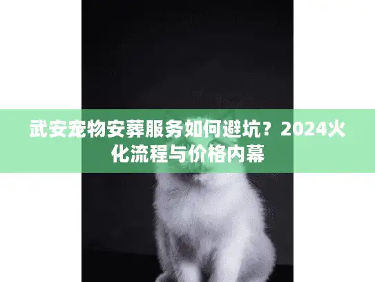 武安宠物安葬服务如何避坑？2024火化流程与价格内幕