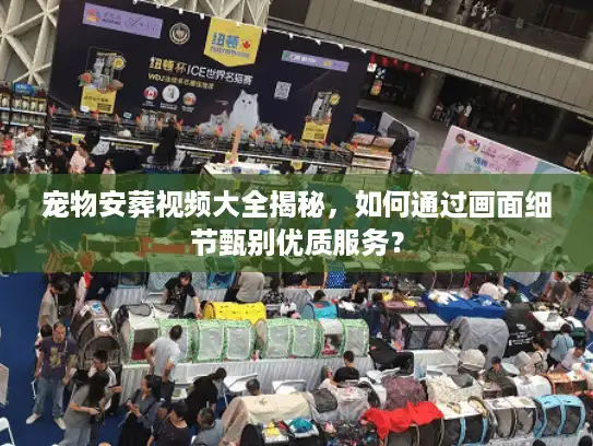 宠物安葬视频大全揭秘，如何通过画面细节甄别优质服务？