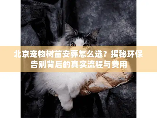 北京宠物树苗安葬怎么选？揭秘环保告别背后的真实流程与费用