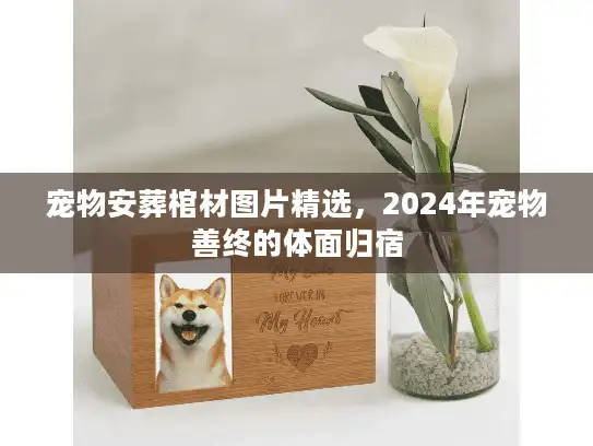 宠物安葬棺材图片精选，2024年宠物善终的体面归宿