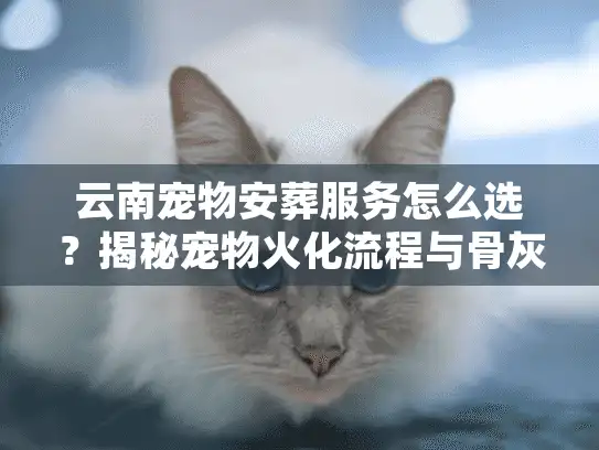 云南宠物安葬服务怎么选？揭秘宠物火化流程与骨灰处理