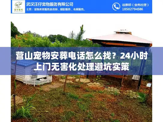 营山宠物安葬电话怎么找？24小时上门无害化处理避坑实策