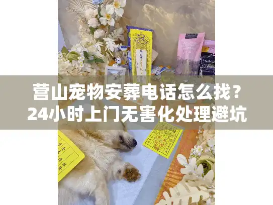 营山宠物安葬电话怎么找？24小时上门无害化处理避坑实策