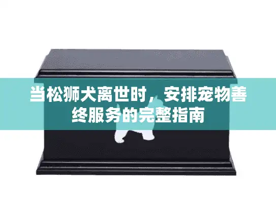 当松狮犬离世时，安排宠物善终服务的完整指南