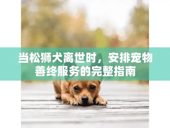 当松狮犬离世时，安排宠物善终服务的完整指南