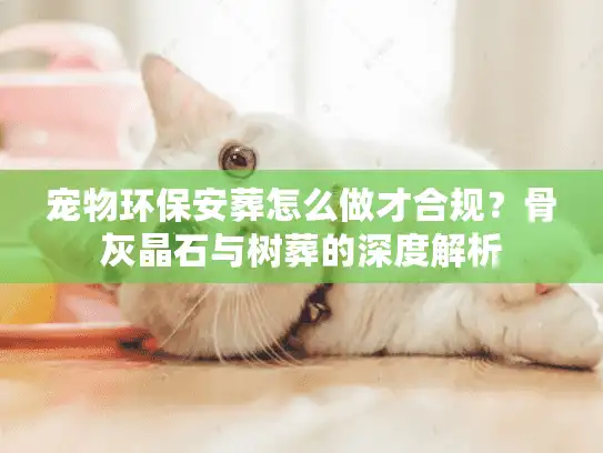 宠物环保安葬怎么做才合规？骨灰晶石与树葬的深度解析