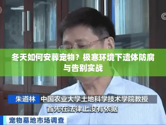 冬天如何安葬宠物？极寒环境下遗体防腐与告别实战