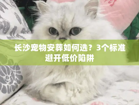 长沙宠物安葬如何选？3个标准避开低价陷阱