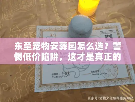 东至宠物安葬园怎么选？警惕低价陷阱，这才是真正的善始善终